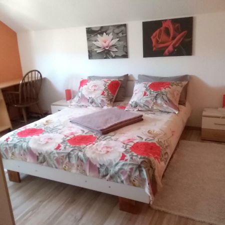 Apartman Franjicic Korenica Εξωτερικό φωτογραφία