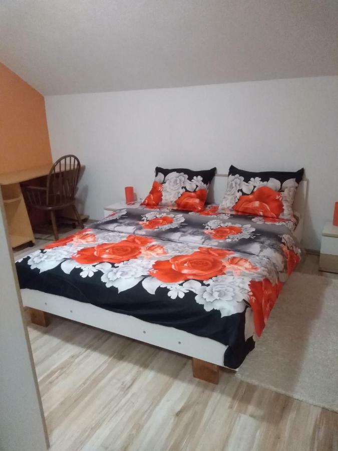 Apartman Franjicic Korenica Εξωτερικό φωτογραφία
