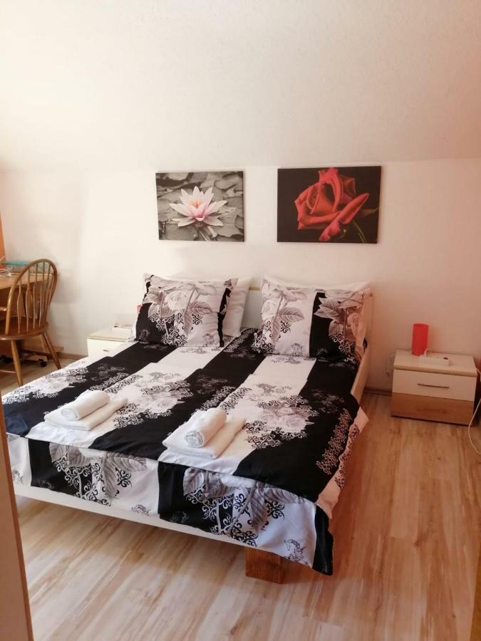 Apartman Franjicic Korenica Εξωτερικό φωτογραφία